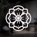 Cobalt Studio