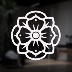 Cobalt Studio