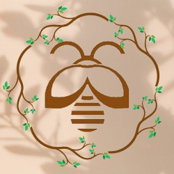 Studio Bee Nice