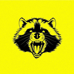 Trash Panda Tattoo
