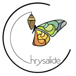 Chrysalide Studio