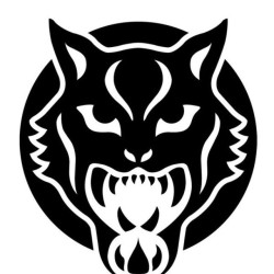 Wildcat Ink Ireland