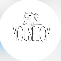 MouseDom Anna Bravo