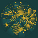 Bisque Rage - Tatouage & Piercing Toulouse