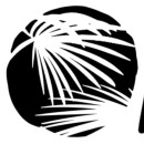 Palm INK