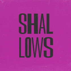 Shallows Studio