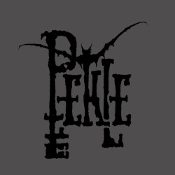Pekle Studio