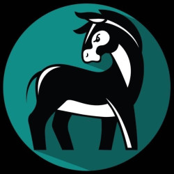 Ink Donkey Tattoo Shop
