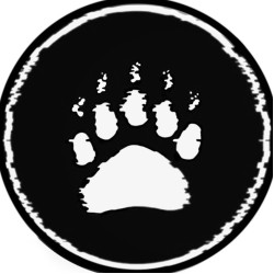 Brown Bear Tattoo