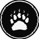 Brown Bear Tattoo