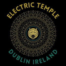 Wildcat Electric Temple Tattoo & Piercing