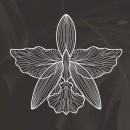 Orquídea Tattoo Studio