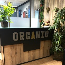 Organic Binho Piercing Lisboa