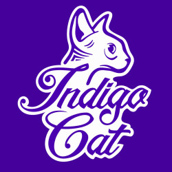 Indigo Cat