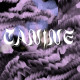 Canine tuning